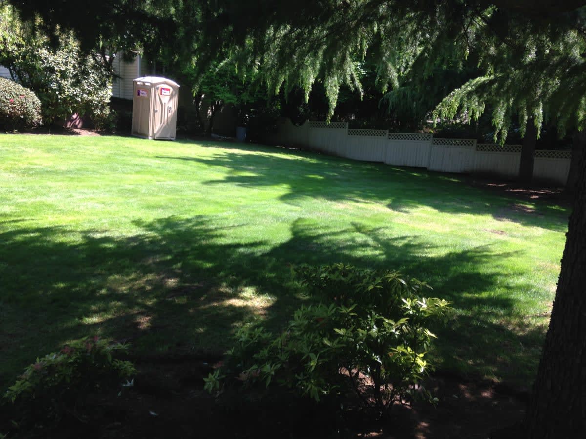 Irrigation Installation Newport Hills